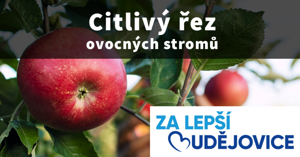 Citlivý řez stromklů